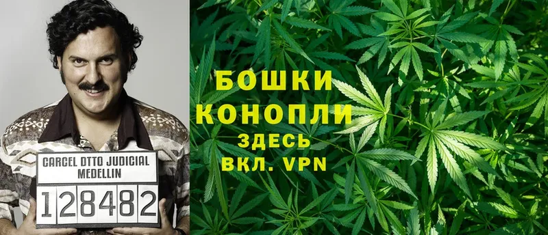 кракен сайт  купить закладку  Конаково  Бошки марихуана SATIVA & INDICA 